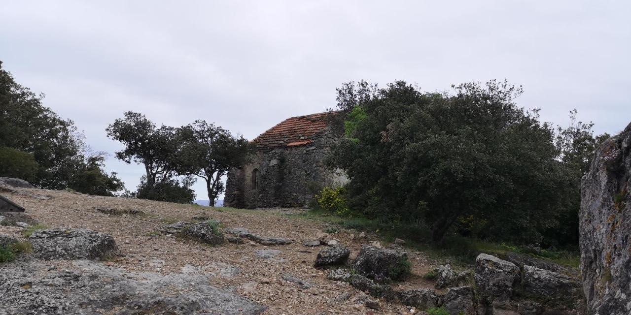 Le Mimosa Bed & Breakfast Saint-Saturnin-de-Lucian Luaran gambar