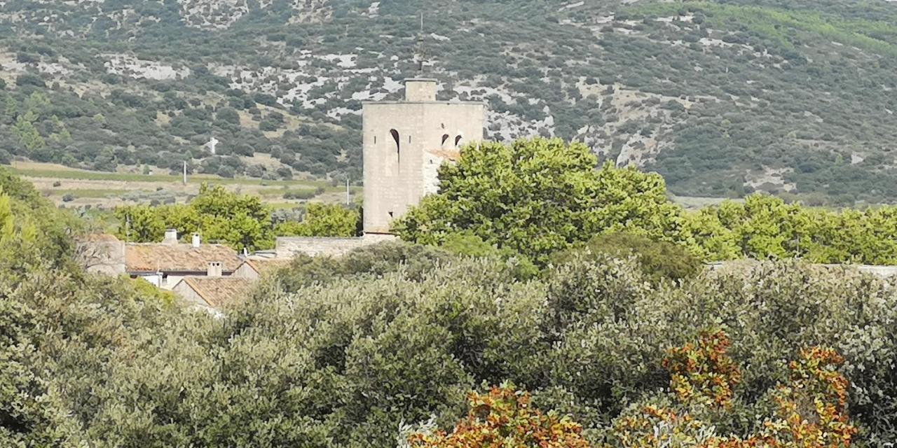 Le Mimosa Bed & Breakfast Saint-Saturnin-de-Lucian Luaran gambar