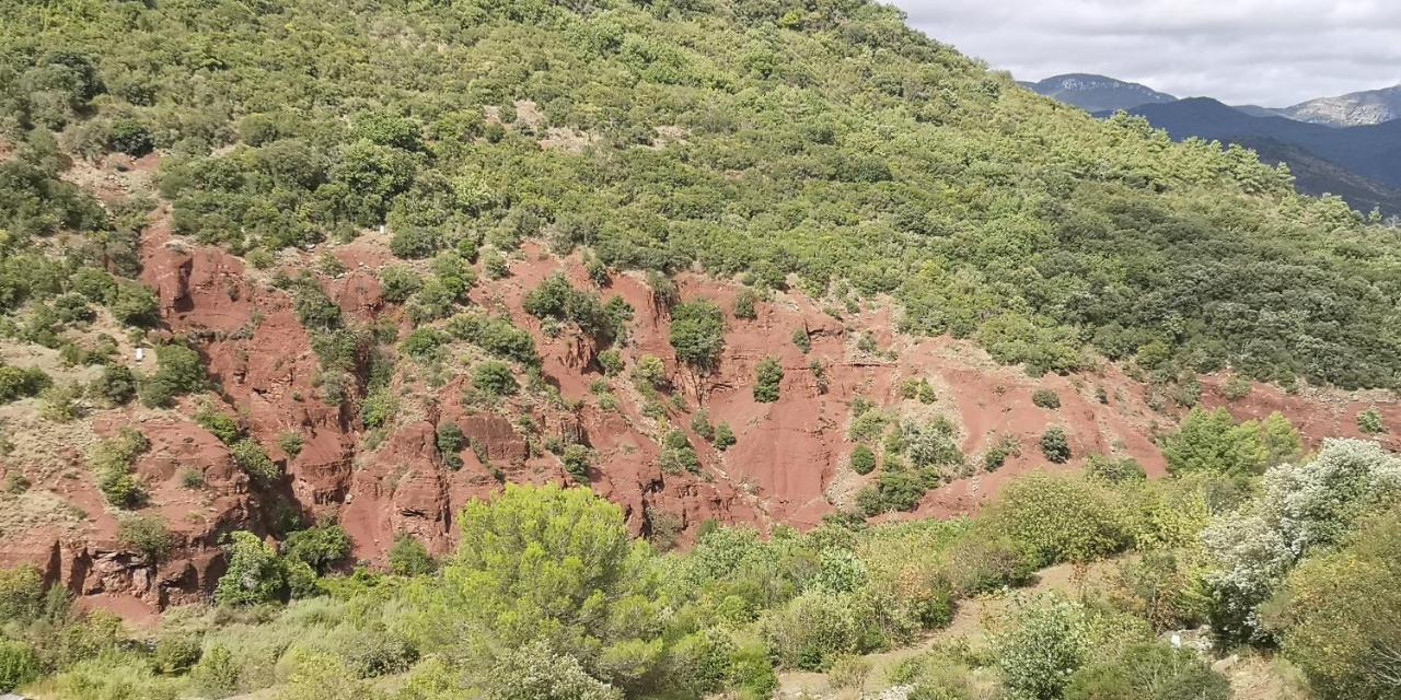 Le Mimosa Bed & Breakfast Saint-Saturnin-de-Lucian Luaran gambar