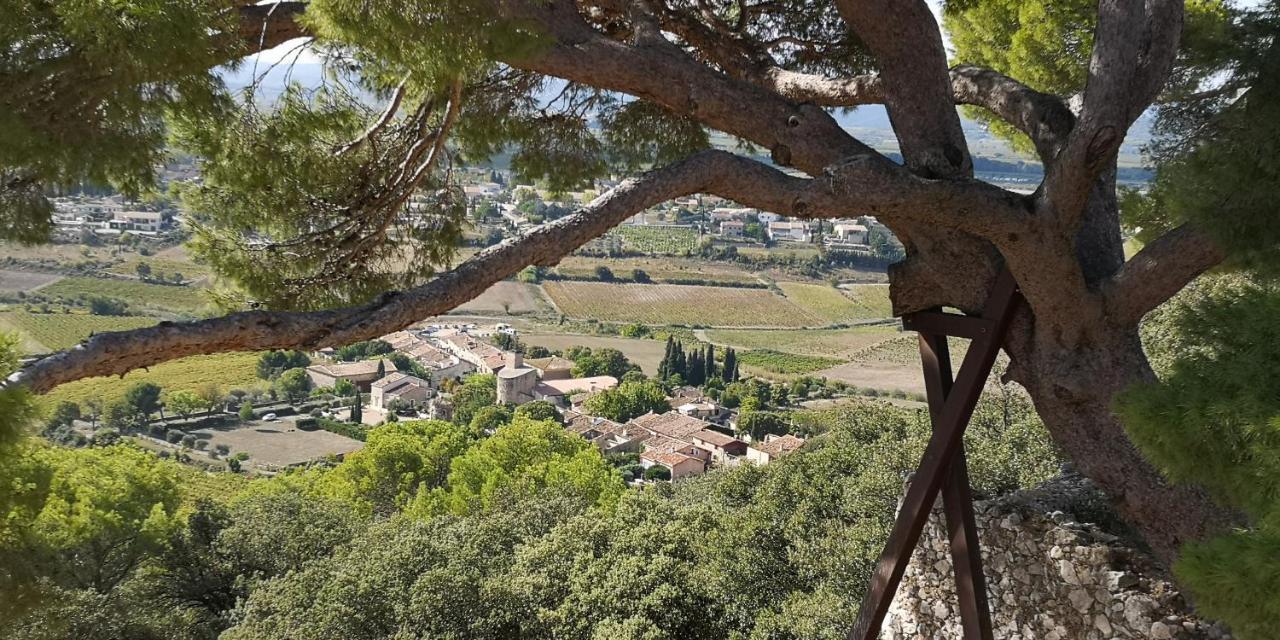 Le Mimosa Bed & Breakfast Saint-Saturnin-de-Lucian Luaran gambar