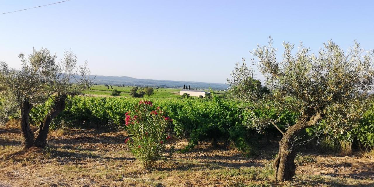 Le Mimosa Bed & Breakfast Saint-Saturnin-de-Lucian Luaran gambar