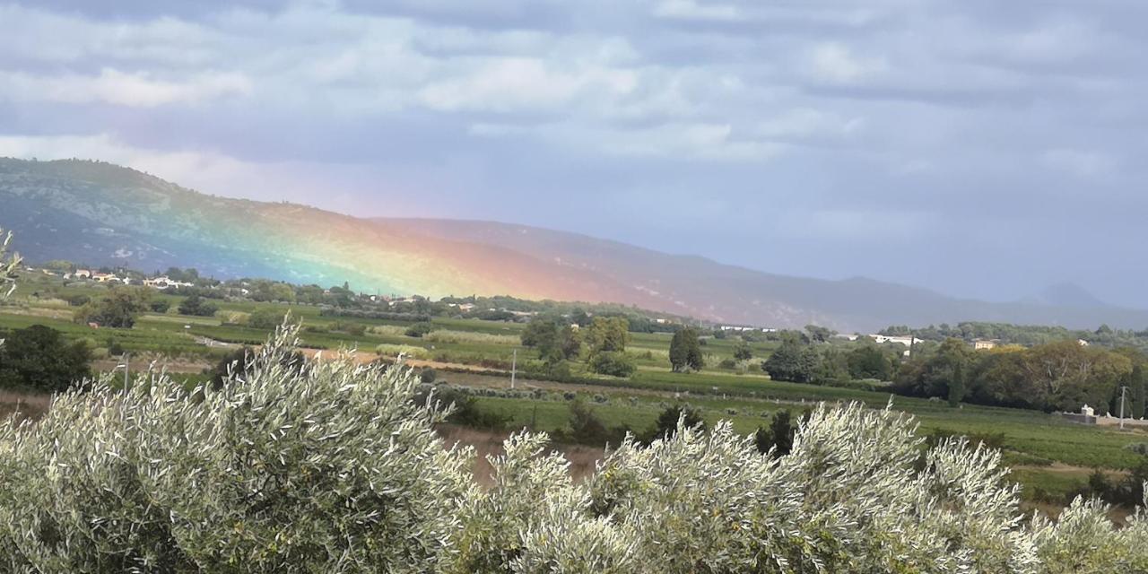 Le Mimosa Bed & Breakfast Saint-Saturnin-de-Lucian Luaran gambar