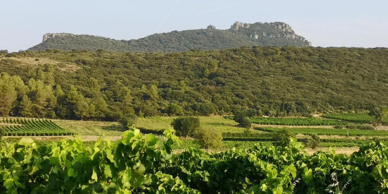 Le Mimosa Bed & Breakfast Saint-Saturnin-de-Lucian Luaran gambar
