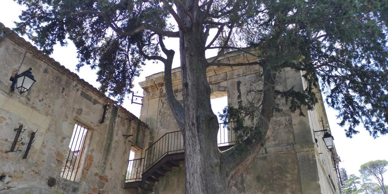 Le Mimosa Bed & Breakfast Saint-Saturnin-de-Lucian Luaran gambar