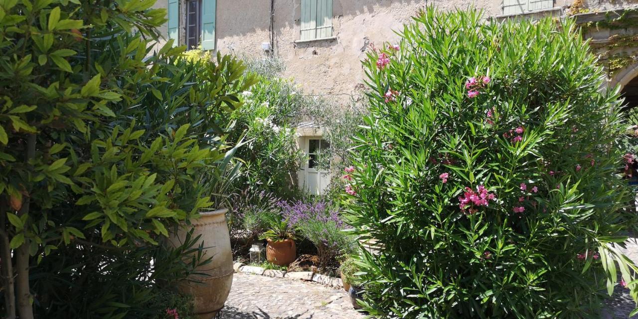 Le Mimosa Bed & Breakfast Saint-Saturnin-de-Lucian Luaran gambar